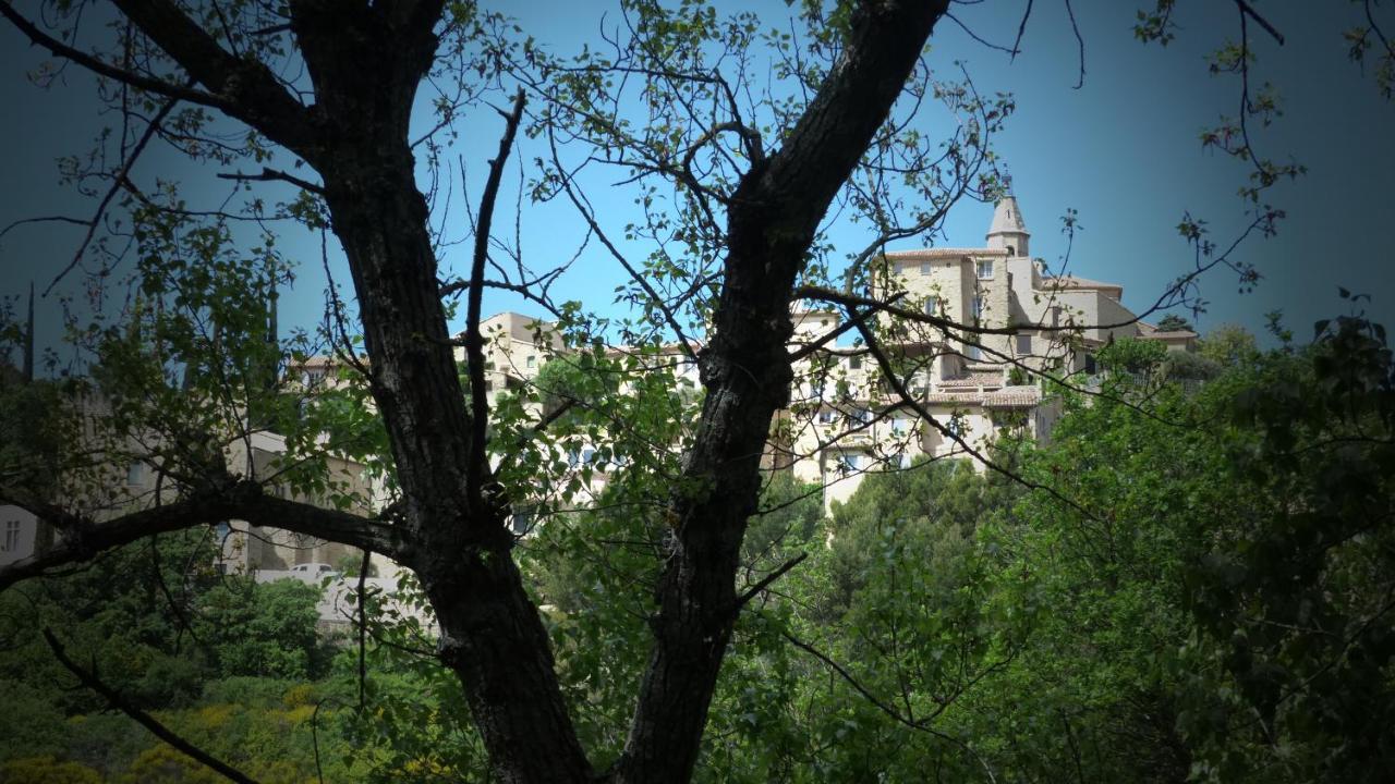 Appartamento Le Cabanon Crillon-le-Brave Esterno foto